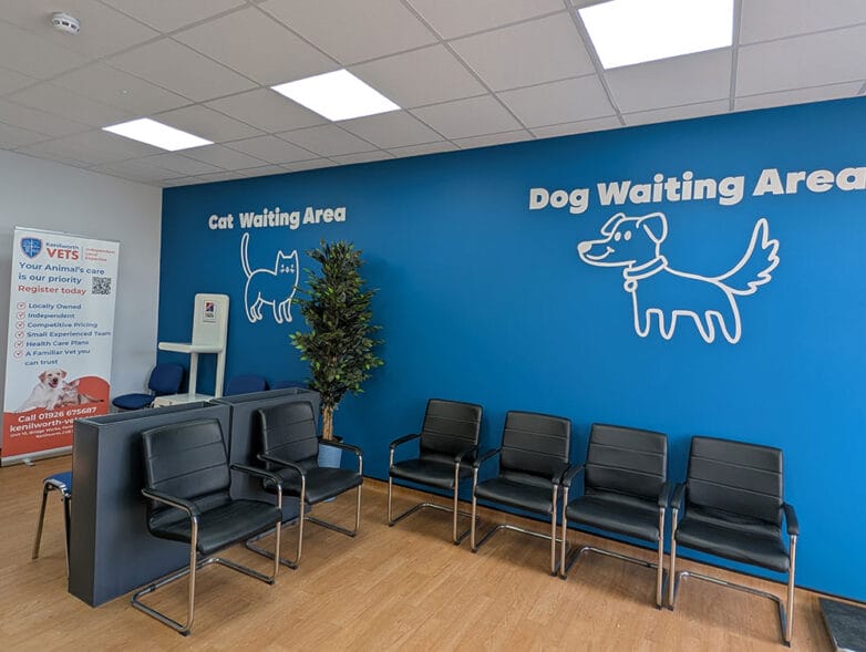 kenilworth-Vets-Services-Image-02